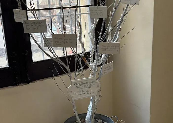 Flower Nel Cuore Della Citta' * 바리